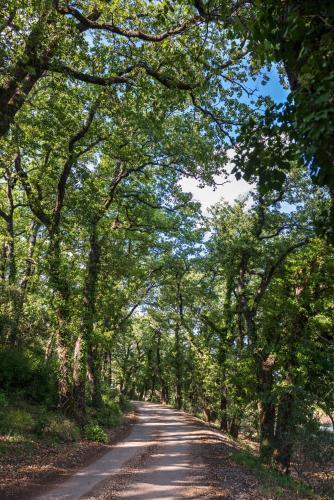 Bed & Breakfast Les Terres De Saint Hilaire