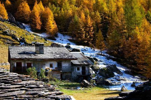 Hostal Chalet Aline