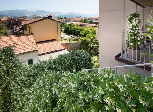 Apartamento Residenza Belmare