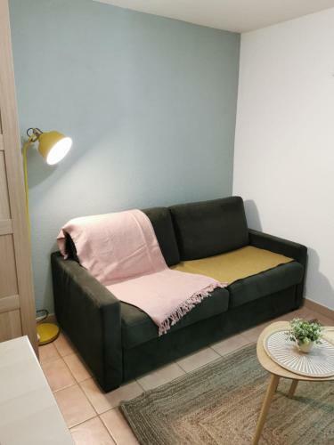 Apartamento Studio Climatis� -la Salamandre- Id�al Festival