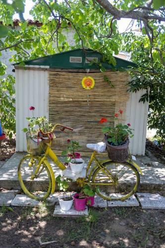 Apartamento Bougainvillea House With Private Garden