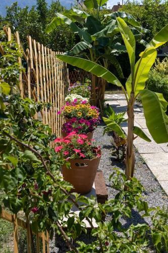 Apartamento Bougainvillea House With Private Garden