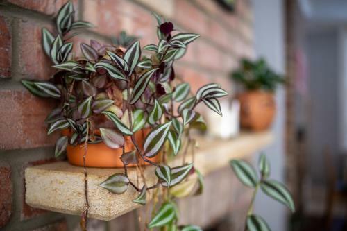 Bristolshortstays - Bishopston Bristol