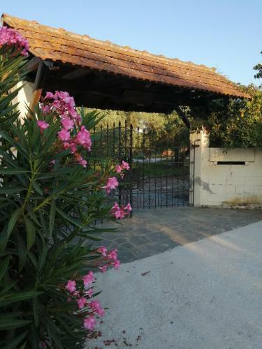 Apartamento Xaroula Appartment