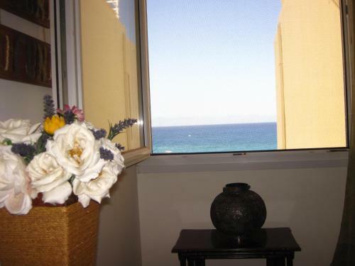 Spacious Seafront Apartment