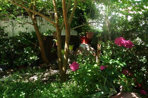 Hostal Parisis Studios