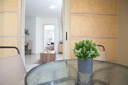 Anemone City Center Apartment