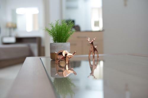 Anemone City Center Apartment