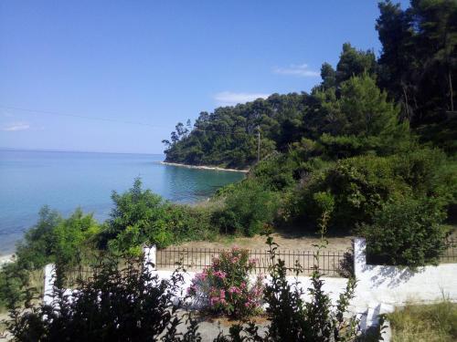 Apartamento Sea And Forest