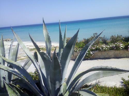 Apartamento Sea And Forest