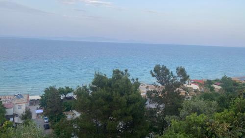 Elena Apartment Chalkidiki