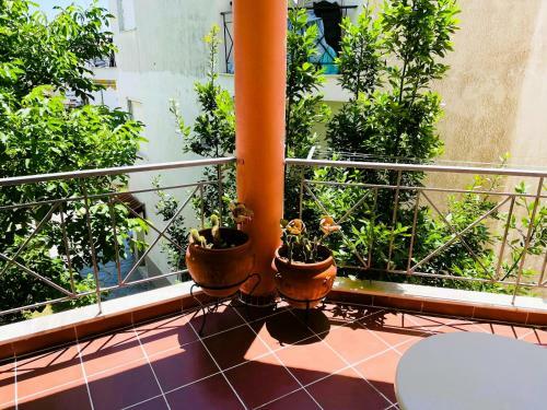 Apartamento Pavlina