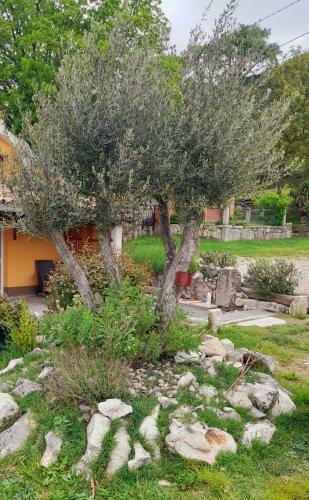 Apartamento Ku?a Za Odmor Lana