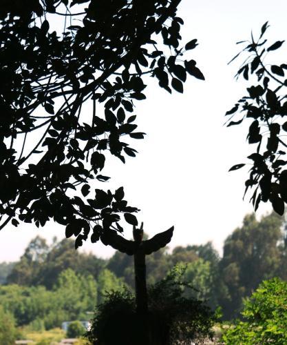 Lodge Posada Del Parque