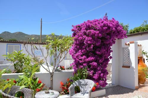 Hotel Il Timone