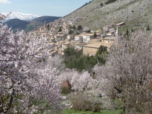 Bed & Breakfast La Bifora E Le Lune Vico Sotto Gli Archi 5