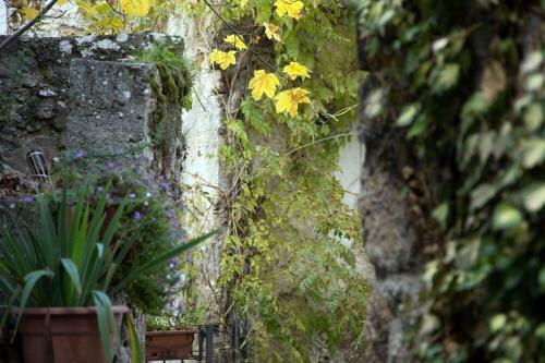 Bed & Breakfast La Bifora E Le Lune Vico Sotto Gli Archi 5