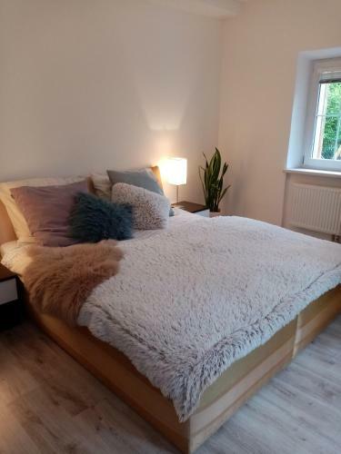 Hostal Vila Anton