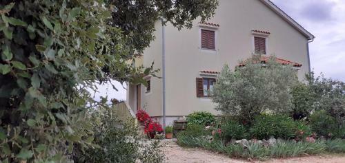Apartamentos Kelk Loznati