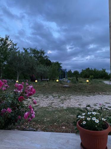 Apartment Ani, Lovre? - Makarska