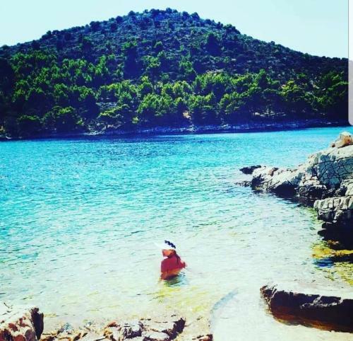 Apartma Lastovo