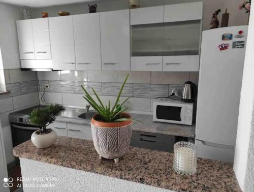 Apartamento Kod Va?e