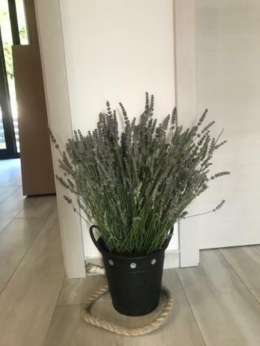 Apartamento Lida
