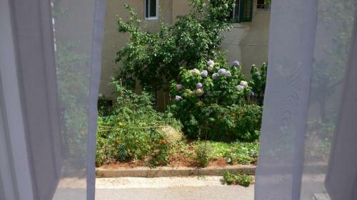 Room Anka Lovran