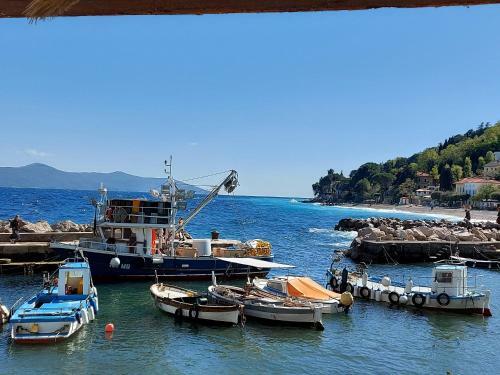 Modern And Cosy Apartment Ivana With A Beautiful Seaview