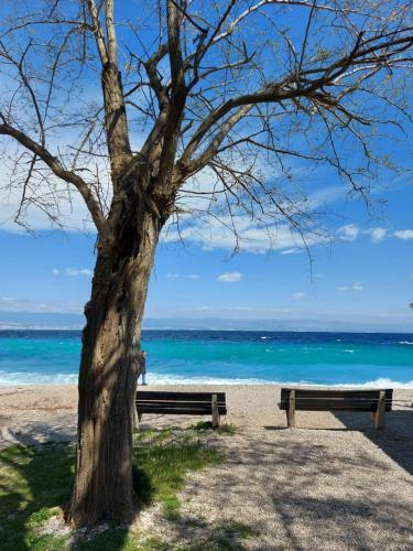Modern And Cosy Apartment Ivana With A Beautiful Seaview