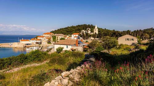 Villa Amber St. Martin