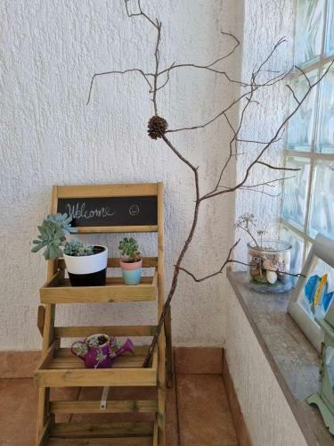 Apartamento Ola 2