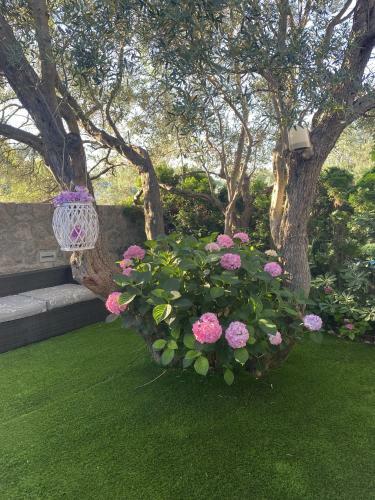 Villa Martina