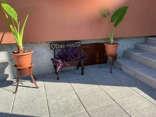 Apartamento Ku?a Za Odmor Blizanke