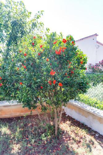 Apartman Gaspar