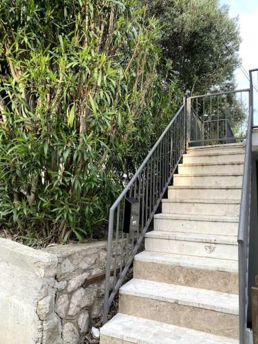 Apartment Ivy