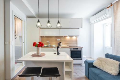 Modern Studio Apartment Lu?i?
