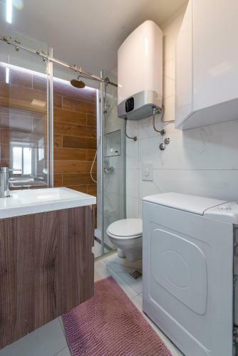 Modern Studio Apartment Lu?i?