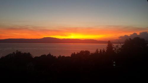 Divine View Apartma
