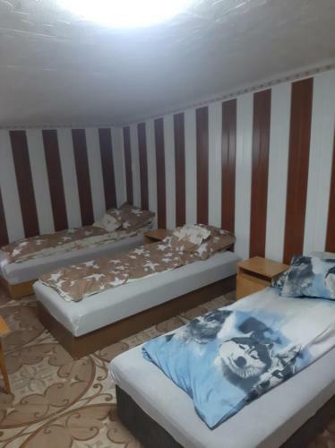 Apartamento Viktoria Vend�gh�z