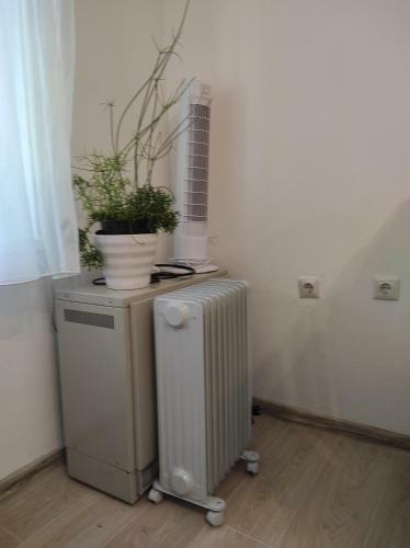 Apartamentos Megi