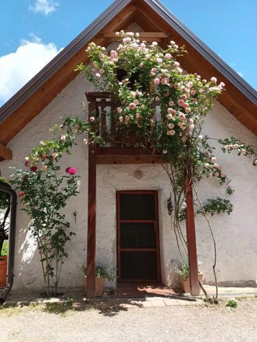 Apartman Latin 2