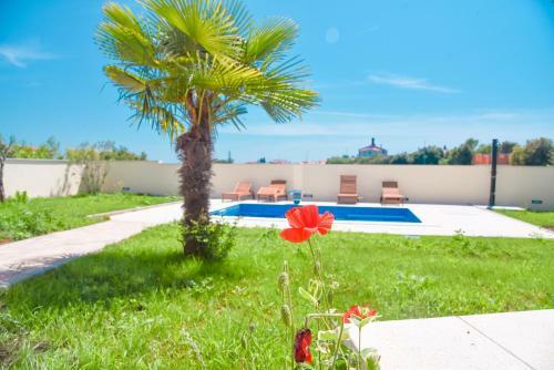 Apartamento Aptartment - Istrian Dream With Swimming Pool