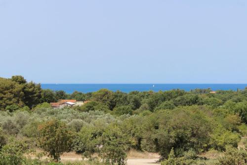Villa Sunshine With Private Hydromassage Pool Near Pula