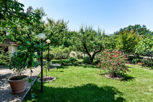 Hostal Casa Istriana Dajla