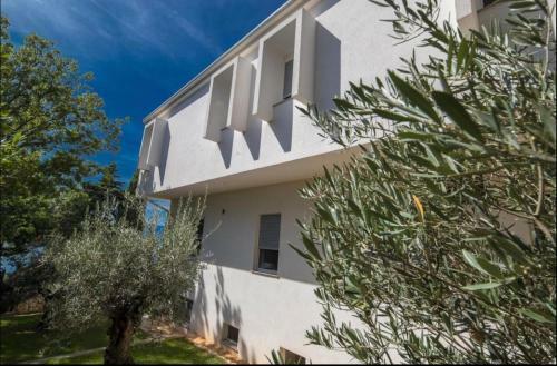 Bed & Breakfast Sea La Vie Rooms