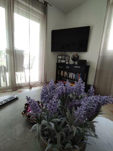 Brand New Apartment 4 Stars