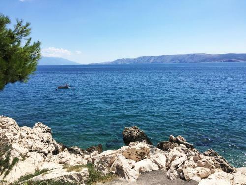 Hostal Guest House Zimmer Novi