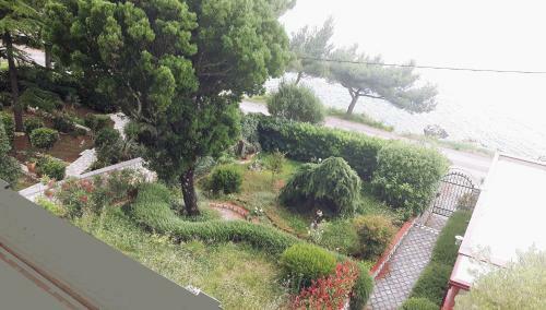 Hostal Guest House Zimmer Novi