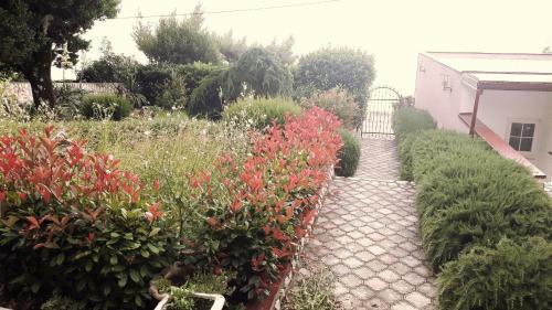 Hostal Guest House Zimmer Novi